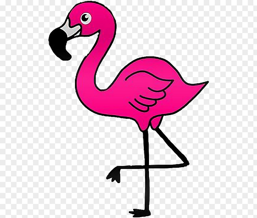 Flamingo R Clip Art Openclipart Free Content Image PNG