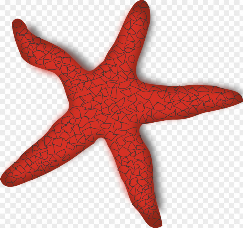 Starfish Clip Art PNG