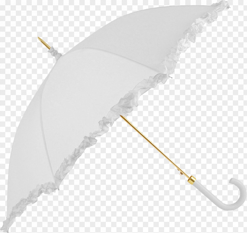 Umbrella White Rain PNG