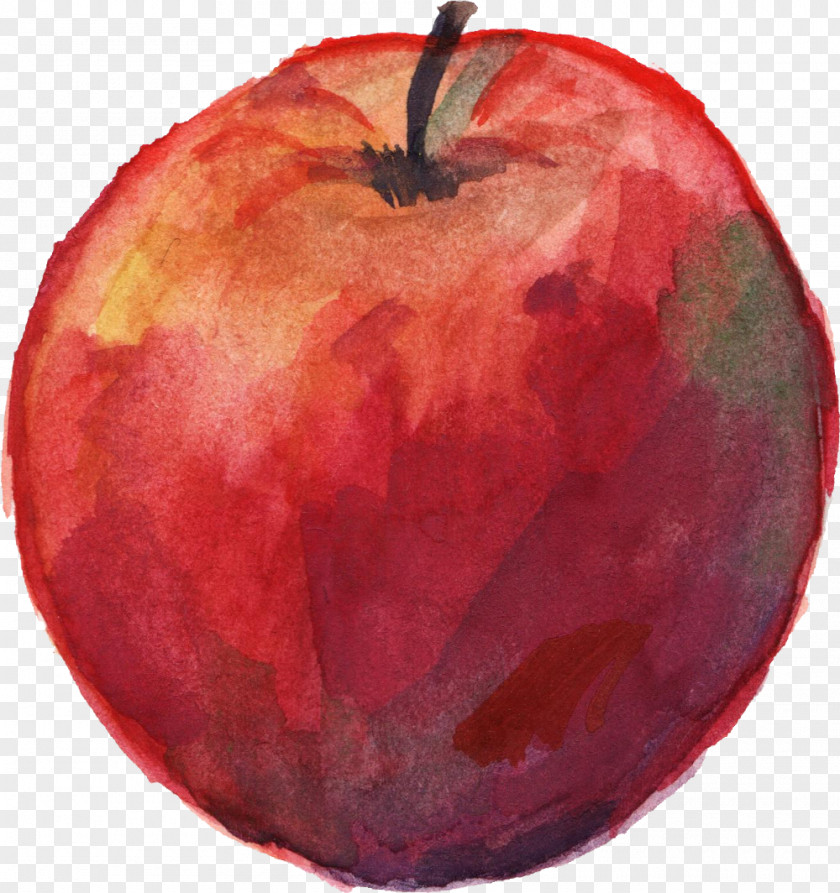 Watercolour Apple Watercolor Painting PNG