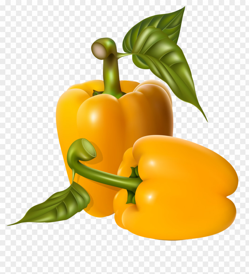 Alimentation Watercolor Bell Pepper Vegetable Greens Clip Art Vector Graphics PNG