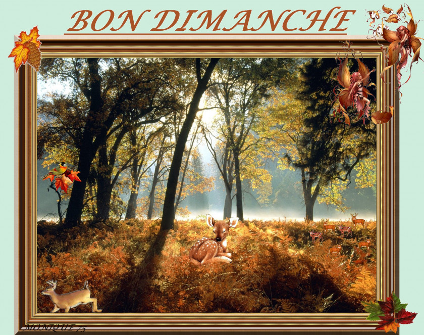 Autumn Nature Landscape Tree Desktop Wallpaper PNG