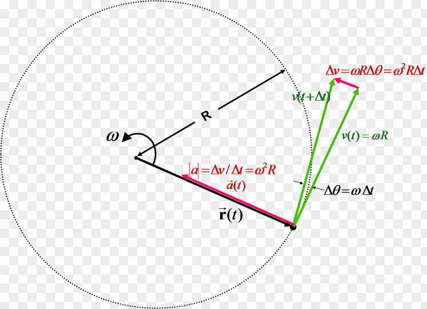 Circle Circular Motion Velocity Centripetal Force Position PNG
