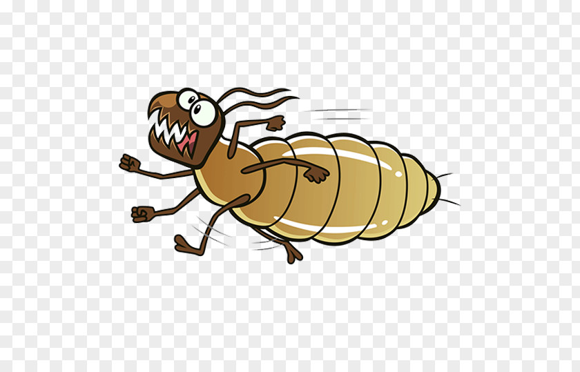 Clip Art Vector Graphics Termite Insect Ant PNG