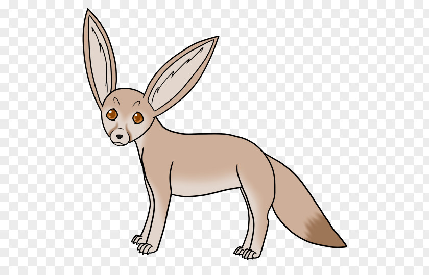 Fennec Fox Hare Red Domestic Rabbit Canidae PNG