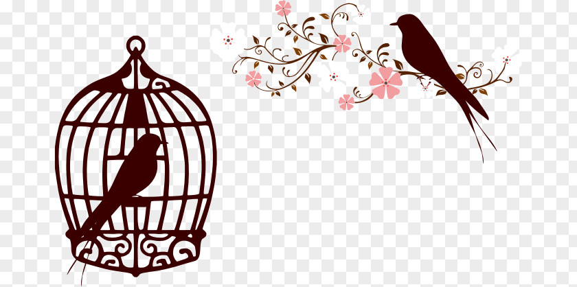 Fundo Floral Birdcage Clip Art PNG