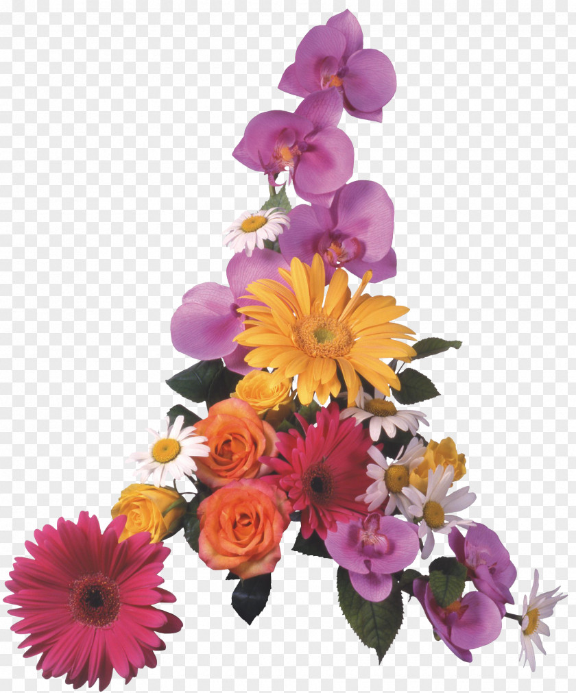 Gazania Cut Flowers Flower Bouquet Clip Art PNG
