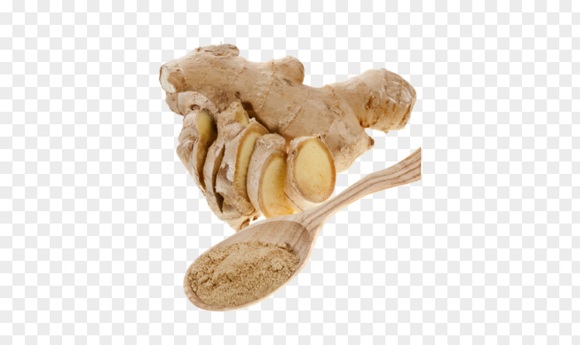 Ginger Cirrhosis Ingredient Jaundice Amchoor PNG