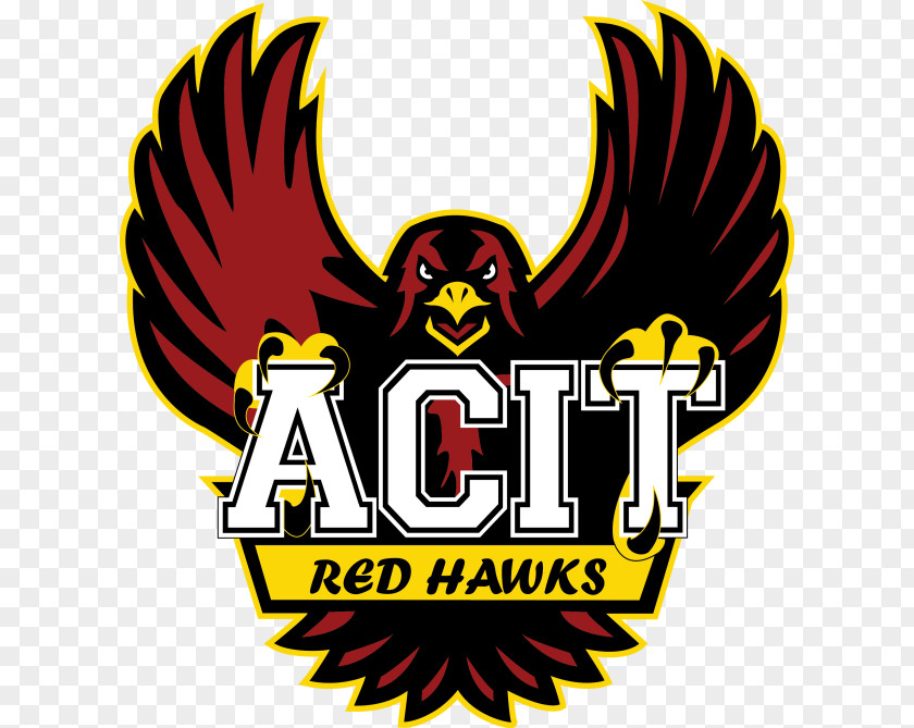 Hawks Atlantic County Institute Of Technology Vocational School District Indiana University Pennsylvania College PNG