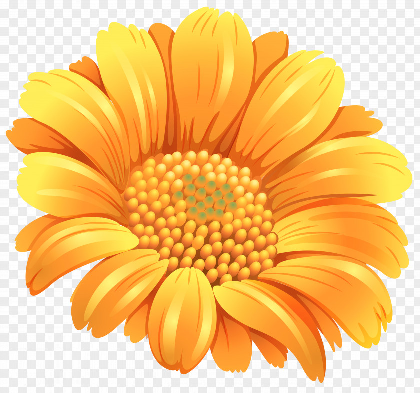 Orange Flower Clipart Image Clip Art PNG