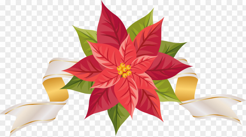 Poinsettia With Ribbon Clipart Image Clip Art PNG