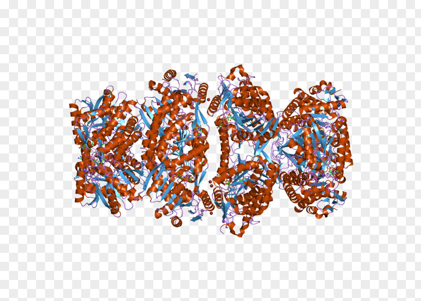 ALDH7A1 Gene Aldehyde Dehydrogenase Genome Protein PNG