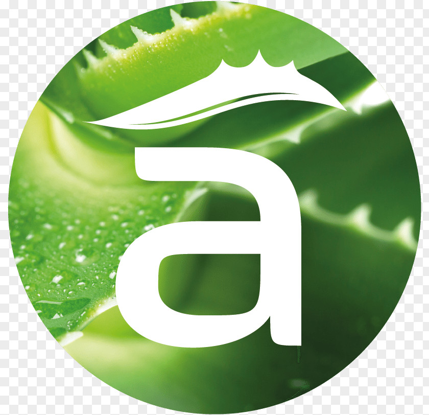 Aloe Plant Vera Logo Gel Brand Trademark PNG
