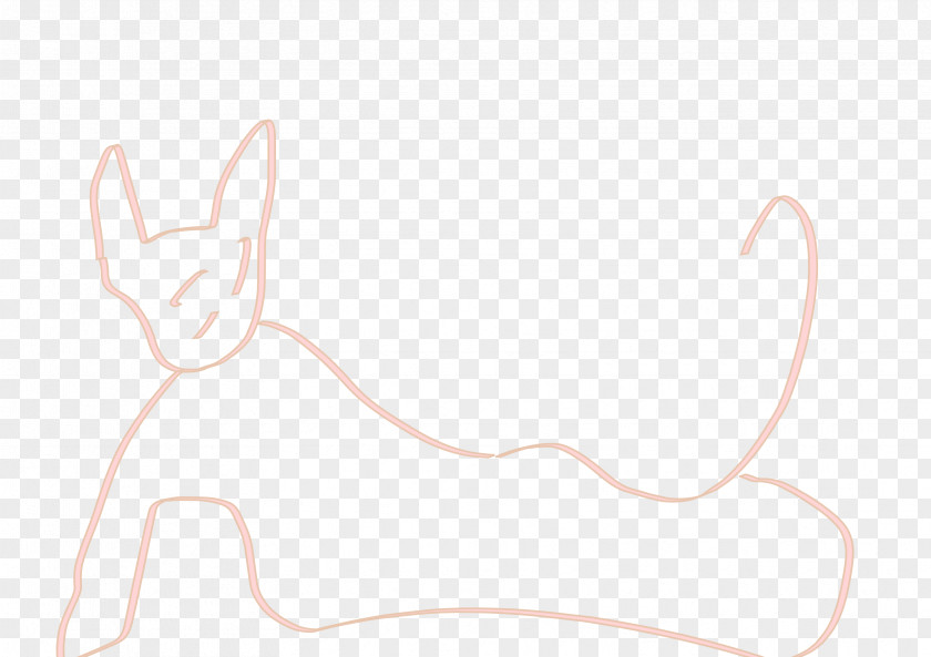 Cat Hare Mammal Drawing PNG
