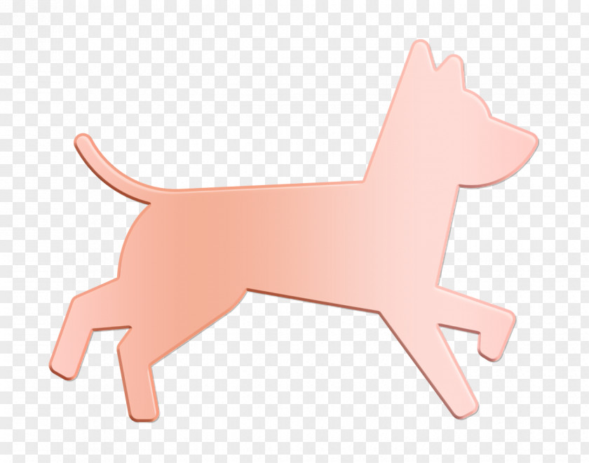 Dog Running Icon Animals And Training PNG