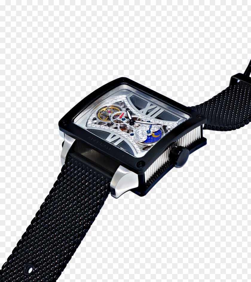 Seagull Material Watch Strap PNG