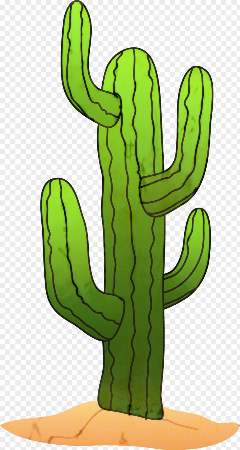 Cactus Clip Art Saguaro Image PNG
