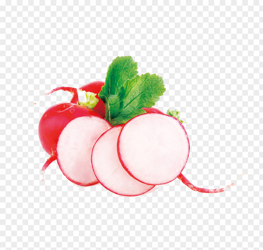 Carrot Garden Radish PNG