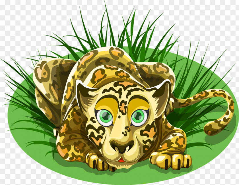 Leopards Leopard Cheetah Tiger Felidae PNG