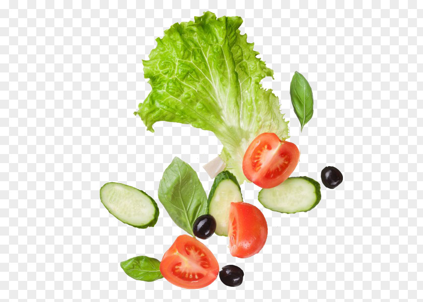 Vegetables And Tomatoes Salad Vegetable Tomato Stock Photography Lettuce PNG