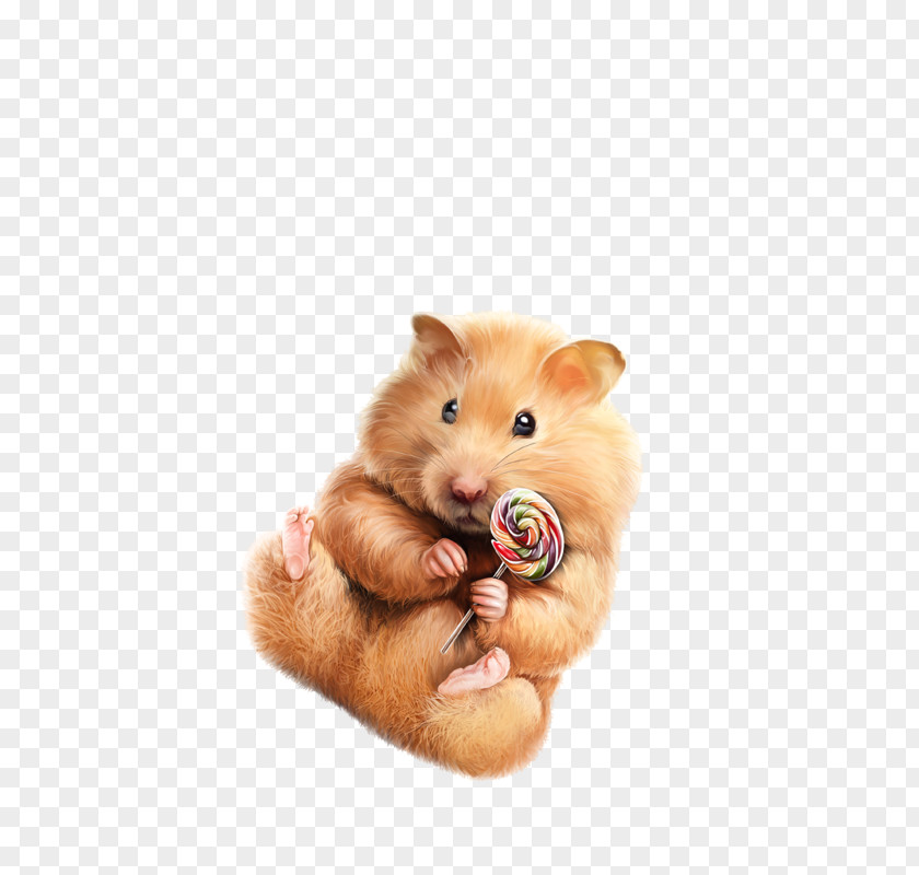 Gerbil Hand Hamster Background PNG