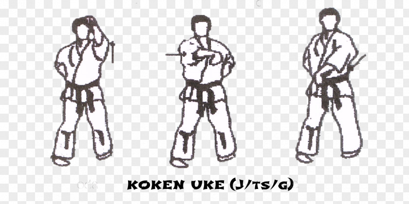 Kyokushin Taikyoku Pinan Kata Tsuki PNG