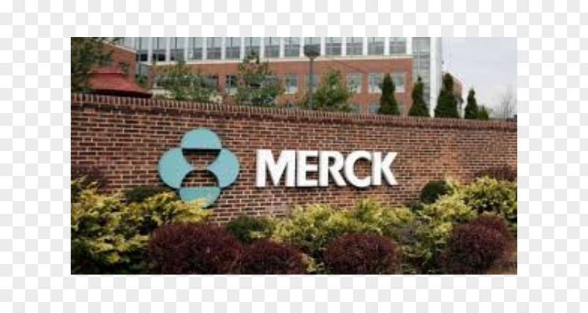 Merck & Co Logo Co. Headquarters Building Company Pharmaceutical Industry Organization PNG