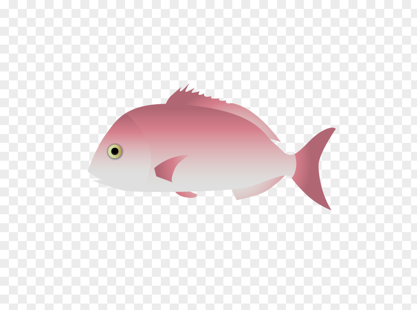 Pomacentridae Bonyfish Fish Cartoon PNG
