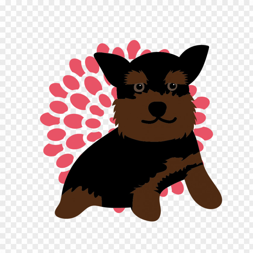 Puppy Yorkshire Terrier Boston Dog Breed PNG
