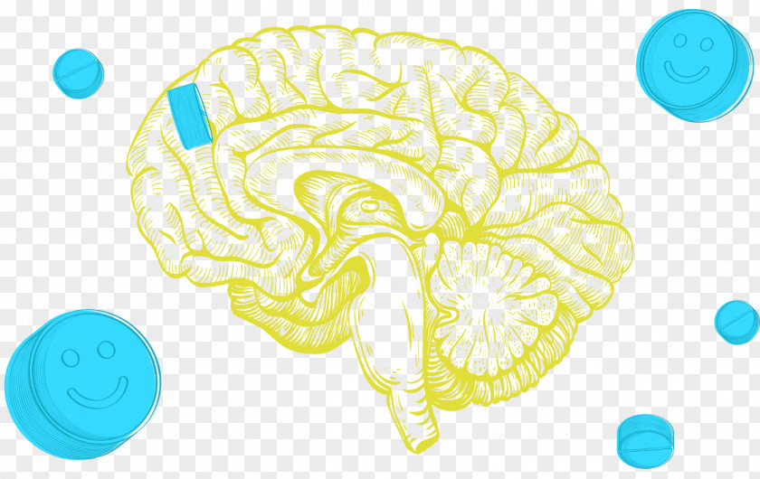 Brain The Stimulated Brain: Cognitive Enhancement Using Non-Invasive Stimulation Human Nervous System Anatomy PNG