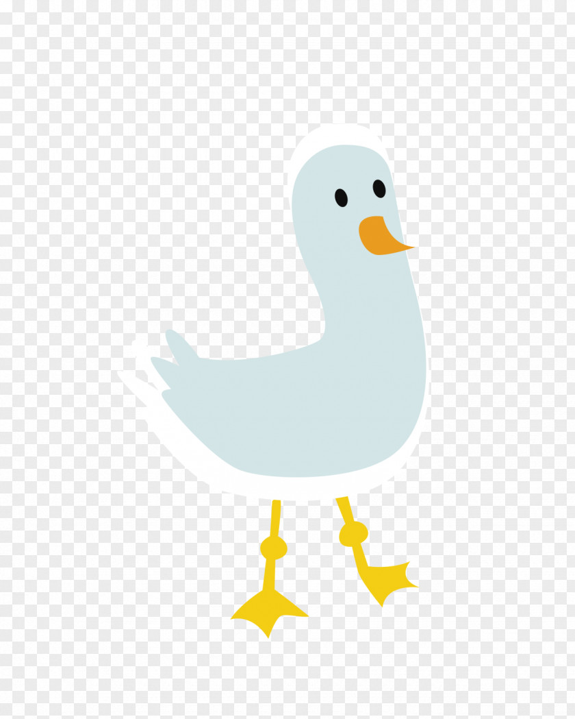 Chick Clip Art PNG