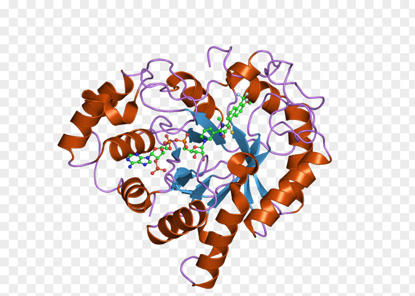 Ensembl Food Clip Art PNG