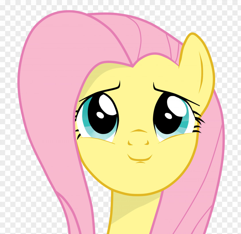 Eye Fluttershy Applejack Pinkie Pie Rainbow Dash Rarity PNG