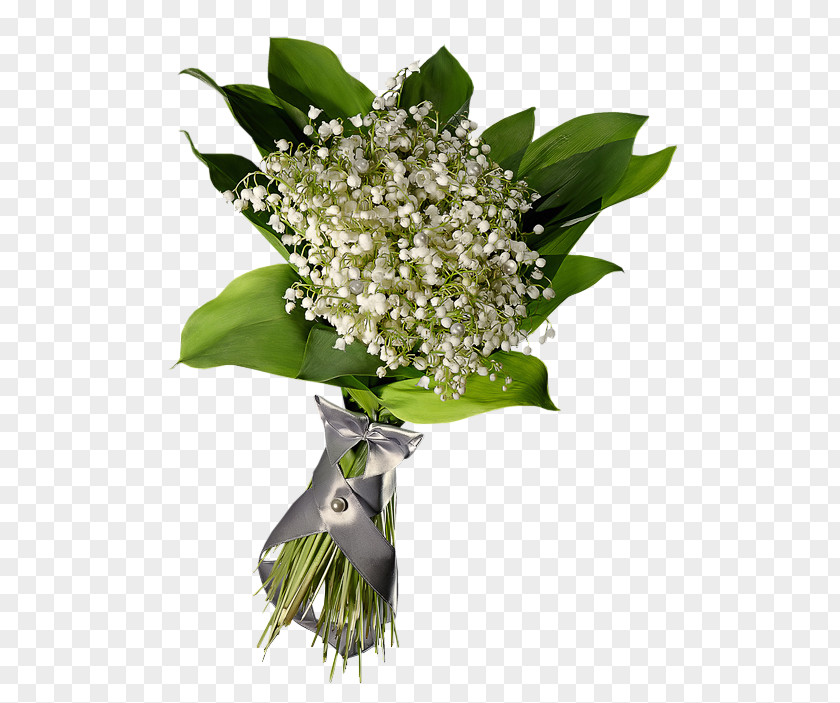 Lily Of The Valley PhotoFiltre Clip Art PNG