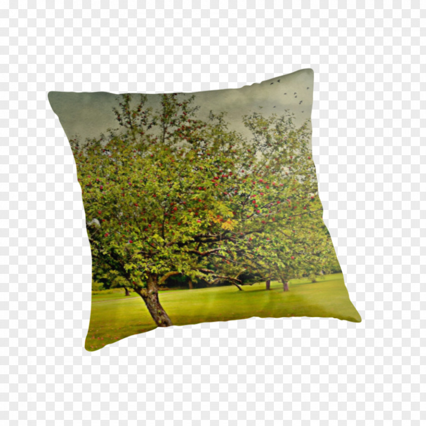 Pillow Throw Pillows Cushion PNG