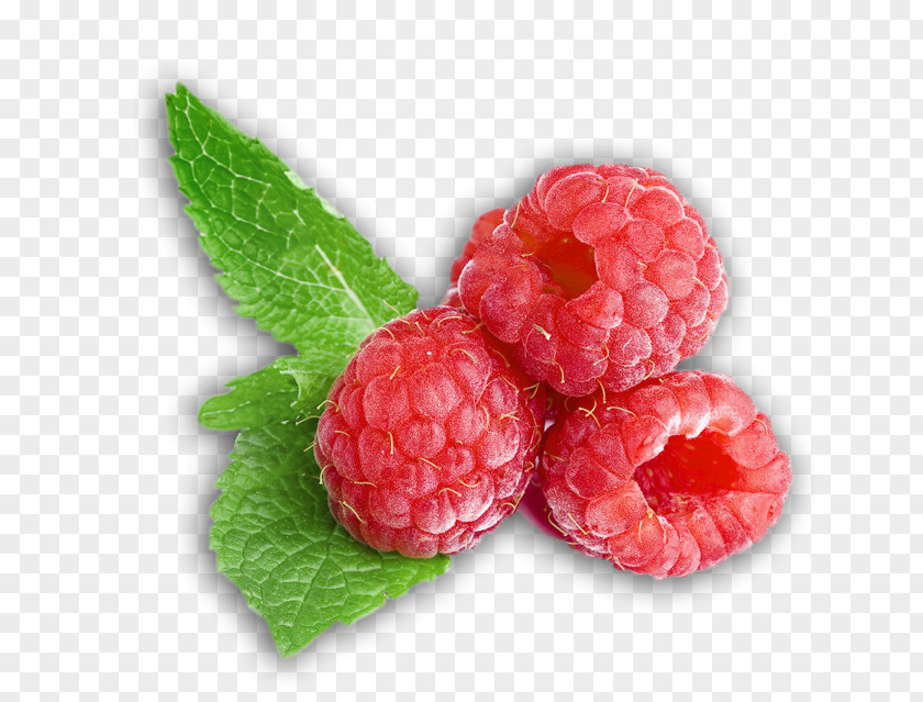 Raspberry West Indian Loganberry Boysenberry Tayberry PNG