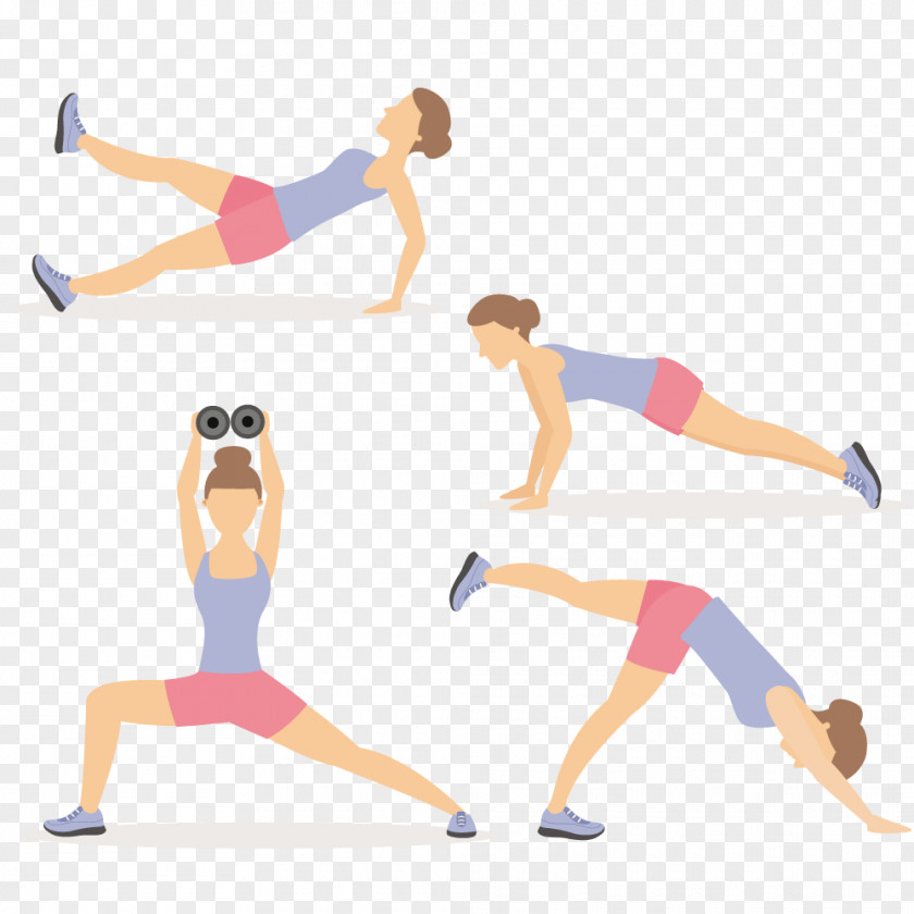 Women Of Different Sports Stretching Body Physical Exercise PNG