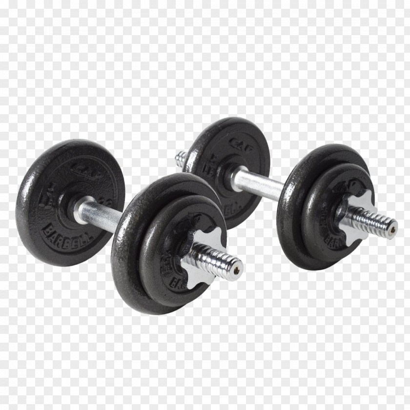 Dumbbell Weight Training Bench Exercise Equipment Physical PNG