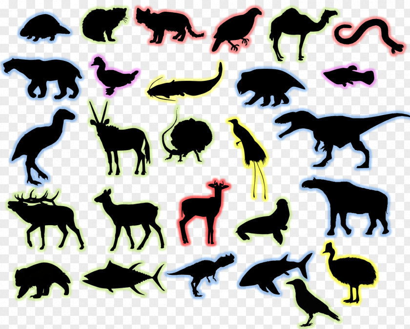 Horse Canidae Cat Dog Mammal PNG