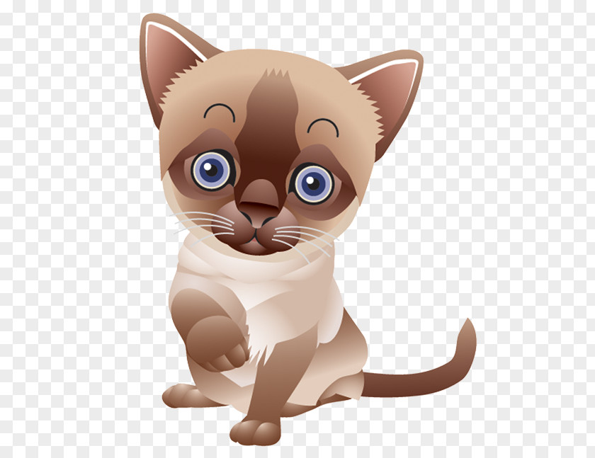 Kitten Burmese Cat Ragdoll Vector Graphics Dog PNG