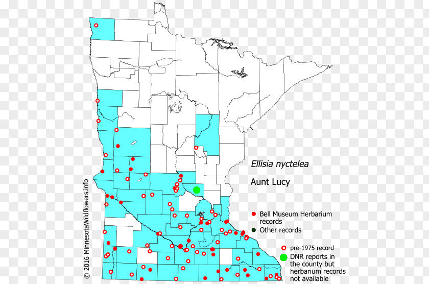 Line Point Angle Map Tuberculosis PNG