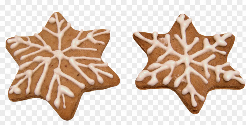 Star Cake Gingerbread Christmas Cookie Recipe PNG