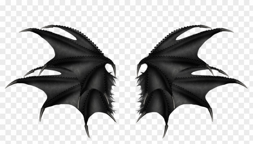 Bat Wing Clip Art PNG