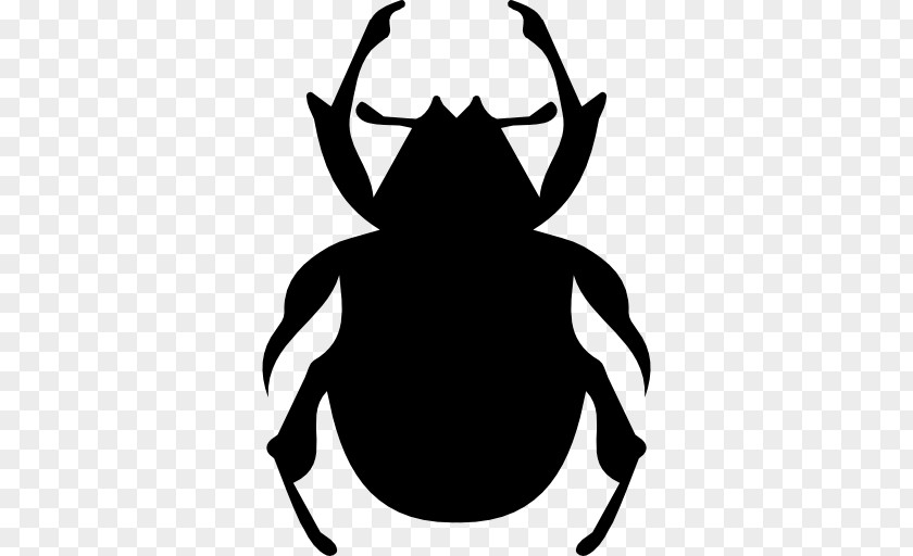 Beetle Rhinoceros Beetles Cockroach PNG