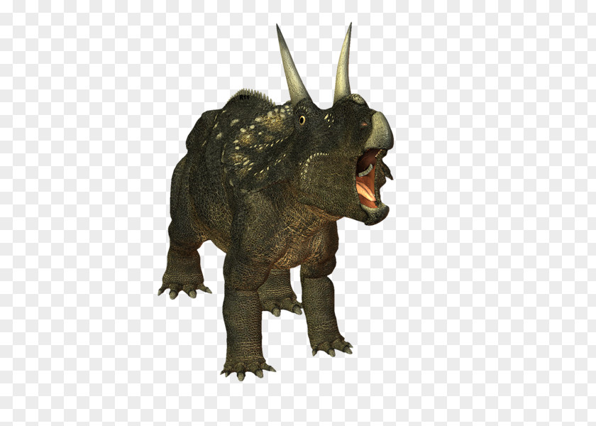 Dinosaur Triceratops Zuniceratops Kentrosaurus Monolophosaurus PNG