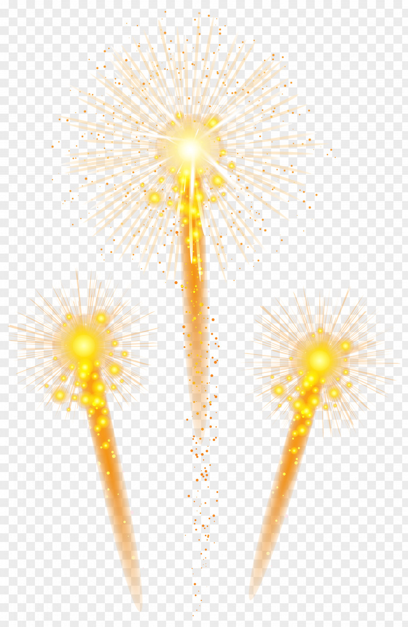 Fireworks Clip Art Image Petal Yellow PNG