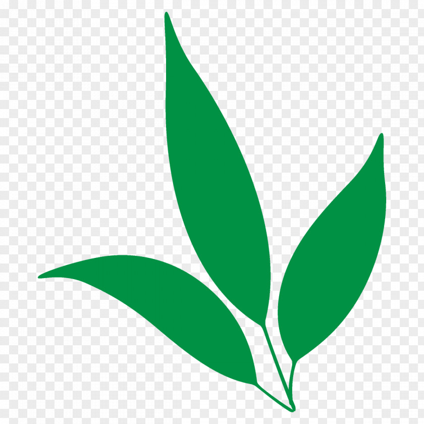 Flower Plant Leaf Green Logo PNG