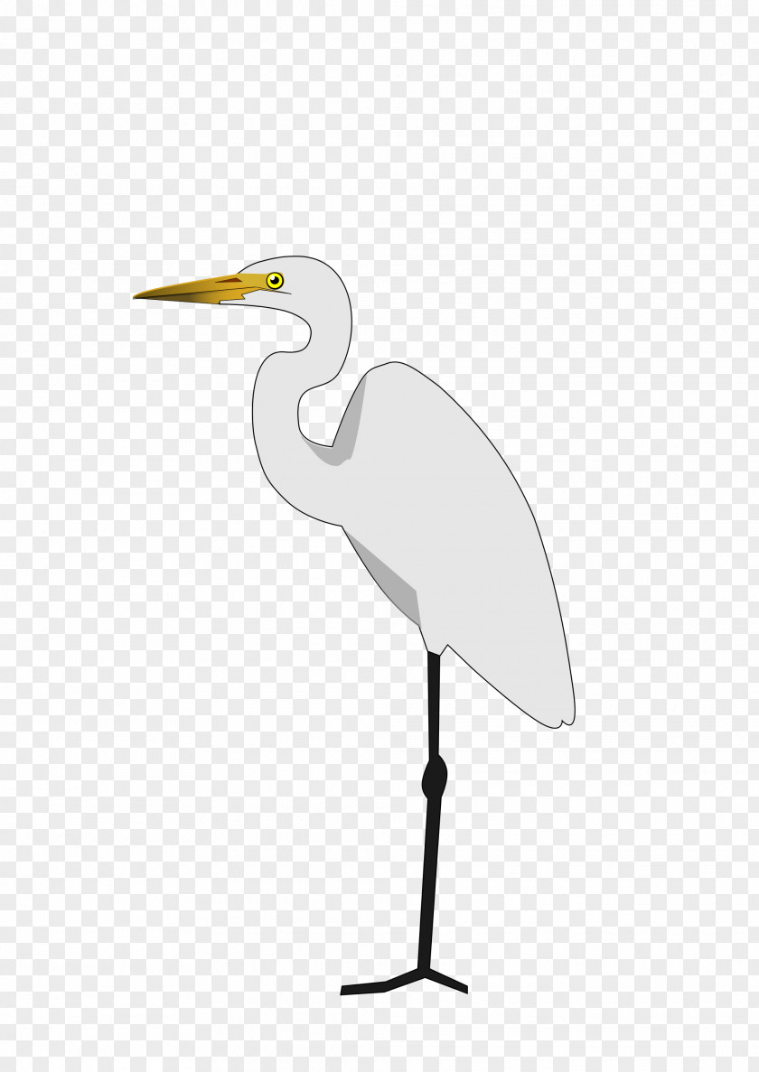 Bird Heron Crane Stork Great Egret PNG