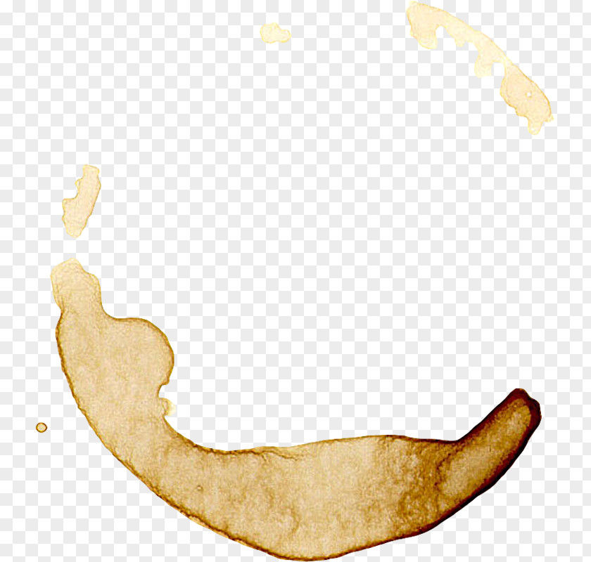 Clipart Best Coffee Stain White Paper Paint PNG