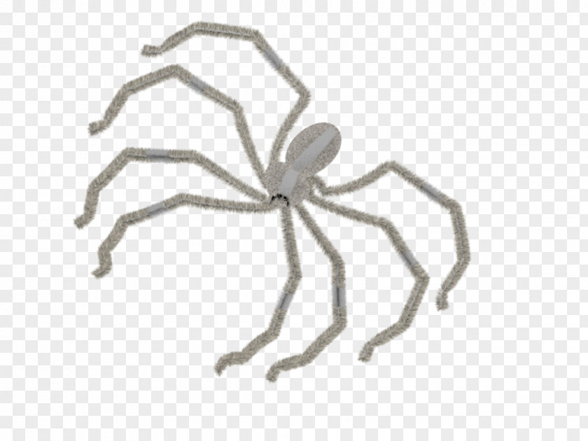 Insect Line Arachnid Pest PNG